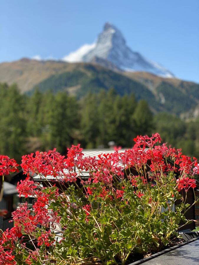 Chalet Bull Церматт Екстер'єр фото